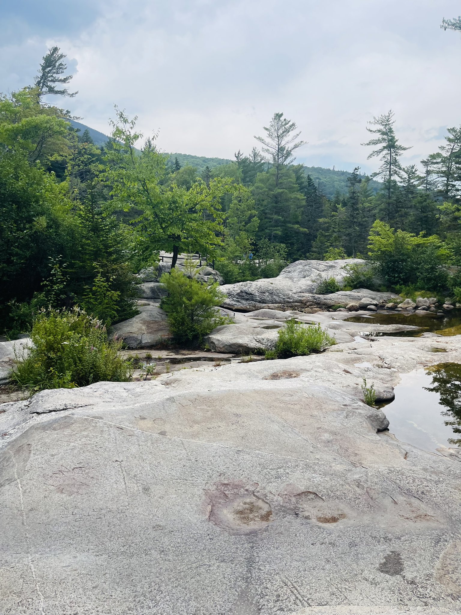 Gordon Research Conference (OptoGRC) / Twitter