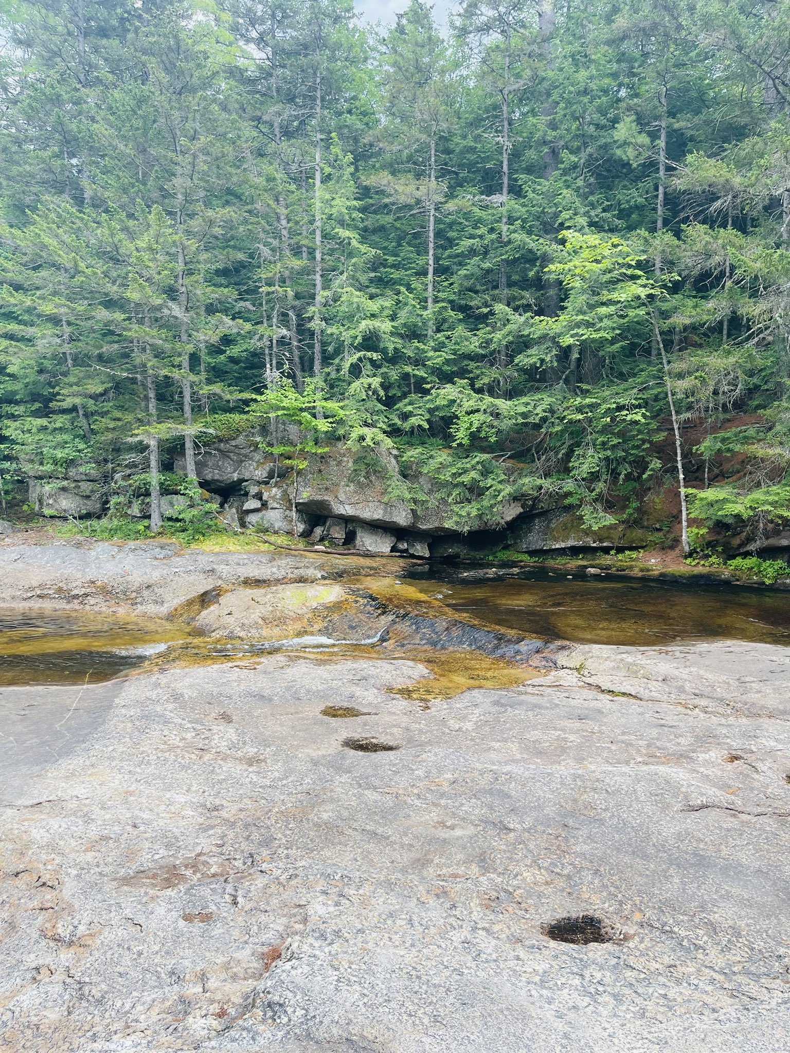 Gordon Research Conference (OptoGRC) / Twitter