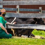 Photo by Allaire Community Farm (@AllaireCommFarm)