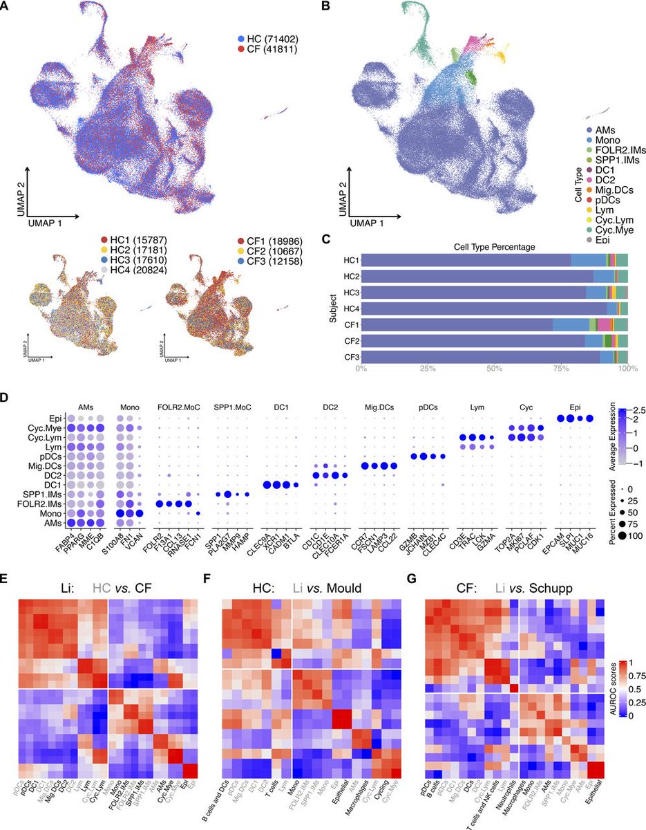 ScRNA-seq Expression of IFI27 and APOC2 Identifies Four AM Superclusters in Healthy BALF. <a href="/GeiselMed/">Geisel School of Medicine at Dartmouth</a>  <a href="/XinLi0419/">Xin Li</a>  <a href="/claudjak/">Claudia Jakubzick</a>

life-science-alliance.org/content/5/11/e…