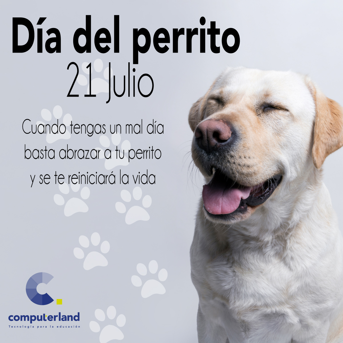 CLANDoccidente's tweet photo. Festejamos el día de los lanuditos. 
#díadelperro https://t.co/VRD3CRtygV