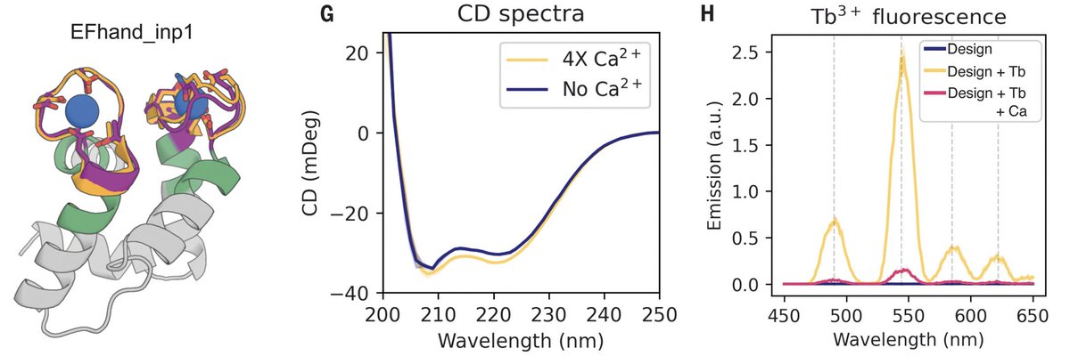 We also successfully designed and tested metal- and protein-binding proteins. This shows the power of the inpainting method developed by @_JosephWatson and @DaveJuergens: from inputs with short helices or loops, we got outputs of well-packed, ideal helical bundles. 5/8