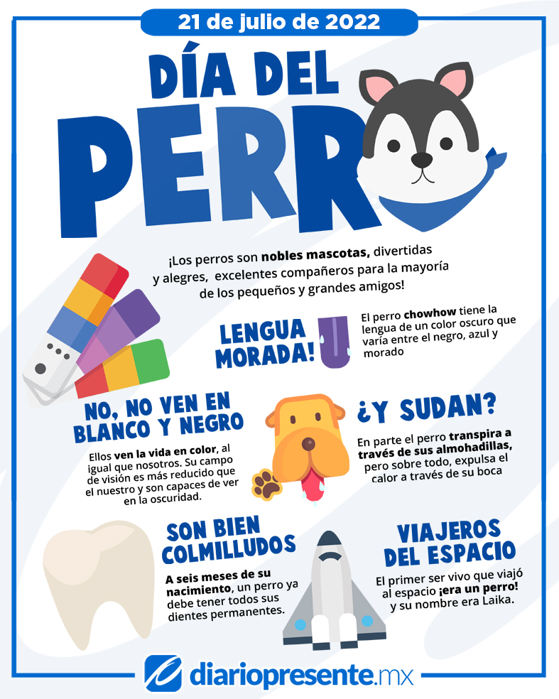 DiarioPresente's tweet photo. #InfoPresente🔵 ¡Los perros son nobles mascotas, divertidas y alegres, excelentes compañeros para la mayoría de los pequeños y grandes amigos! 🫶🐶 #DíaDelPerro https://t.co/g2OCTrDTSO