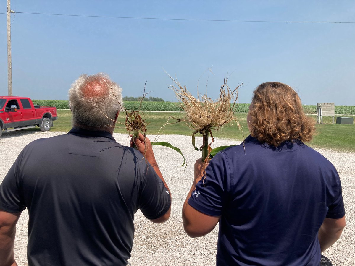 DEKALB Asgrow Iowa tweet media