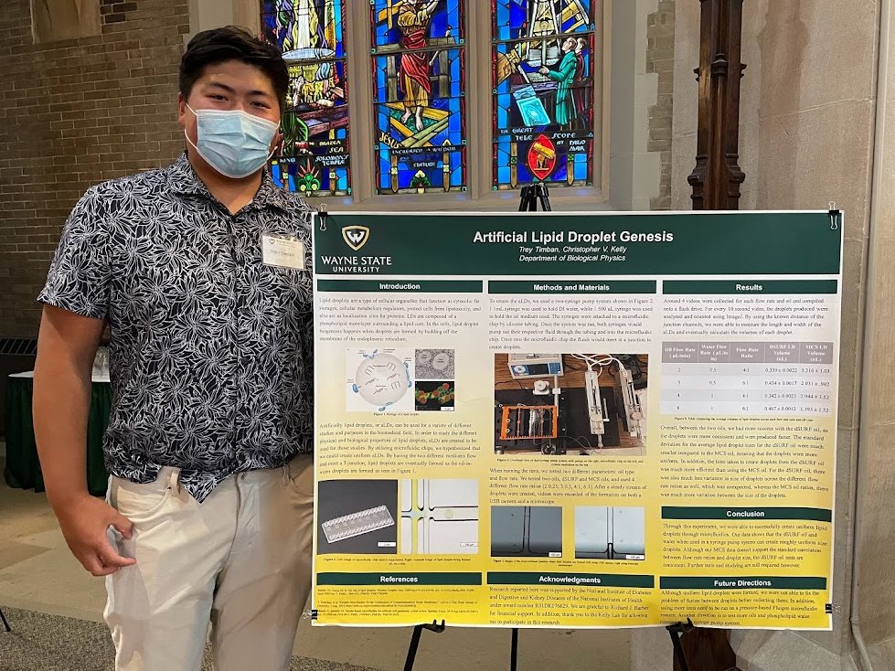 CVKelly Lab tweet media