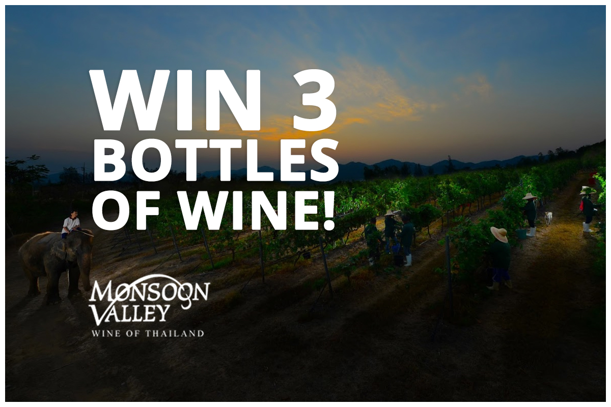 MonsoonValleyUK's tweet photo. Win 3 bottles of fine #MonsoonValley wine! For your chance to #win, just RT and follow @MonsoonValleyUK to enter! #GoodLuck #competition
T&amp;Cs apply https://t.co/nuIksc9QaA
