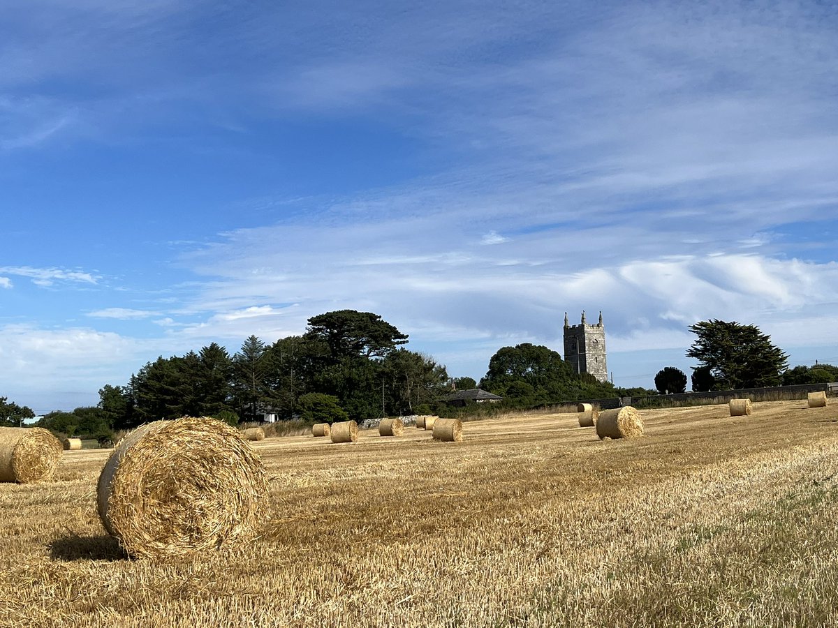 SchindsOnTour's tweet photo. Walking through the Cornish coast and countryside today #SchindlersOnTour #Cornwall #HousesittingLife https://t.co/A2g2anDPEx