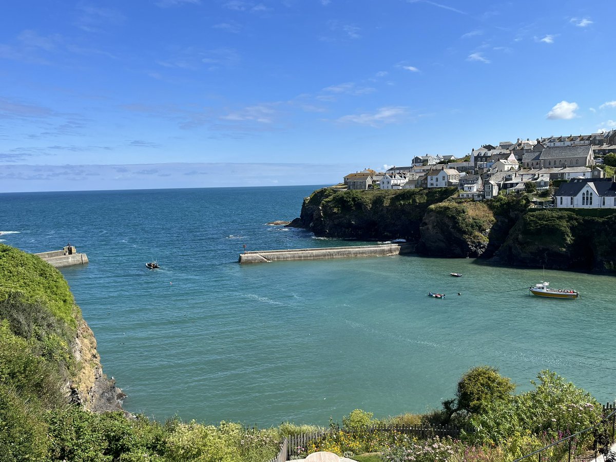 SchindsOnTour's tweet photo. Walking through the Cornish coast and countryside today #SchindlersOnTour #Cornwall #HousesittingLife https://t.co/A2g2anDPEx
