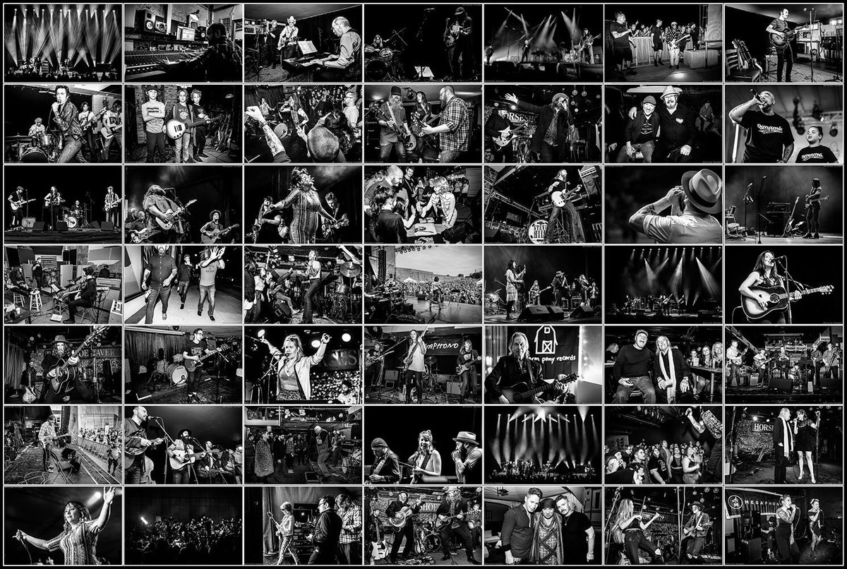 ScottDoubtPhotography (@scottdoubtphoto) on Twitter photo New Twitter handle. Pls hold, your photo is important to us. <a href="/ScottDoubtPhoto/">ScottDoubtPhotography</a> #blackandwhite #concertphoto #musicphoto #Ottawa #Toronto #Montreal New Twitter handle. Pls hold, your photo is important to us. <a href="/ScottDoubtPhoto/">ScottDoubtPhotography</a> #blackandwhite #concertphoto #musicphoto #Ottawa #Toronto #Montreal