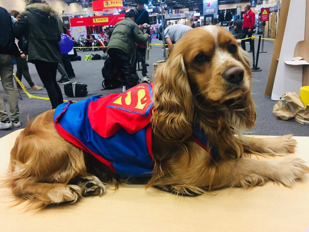 hollmancho's tweet photo. @UribeDJ acá la foto de nuestro perrito llamado Krypto 🐶
#DiaInternacionaldelperro #LaXMasMusica https://t.co/E60ZrKnV73