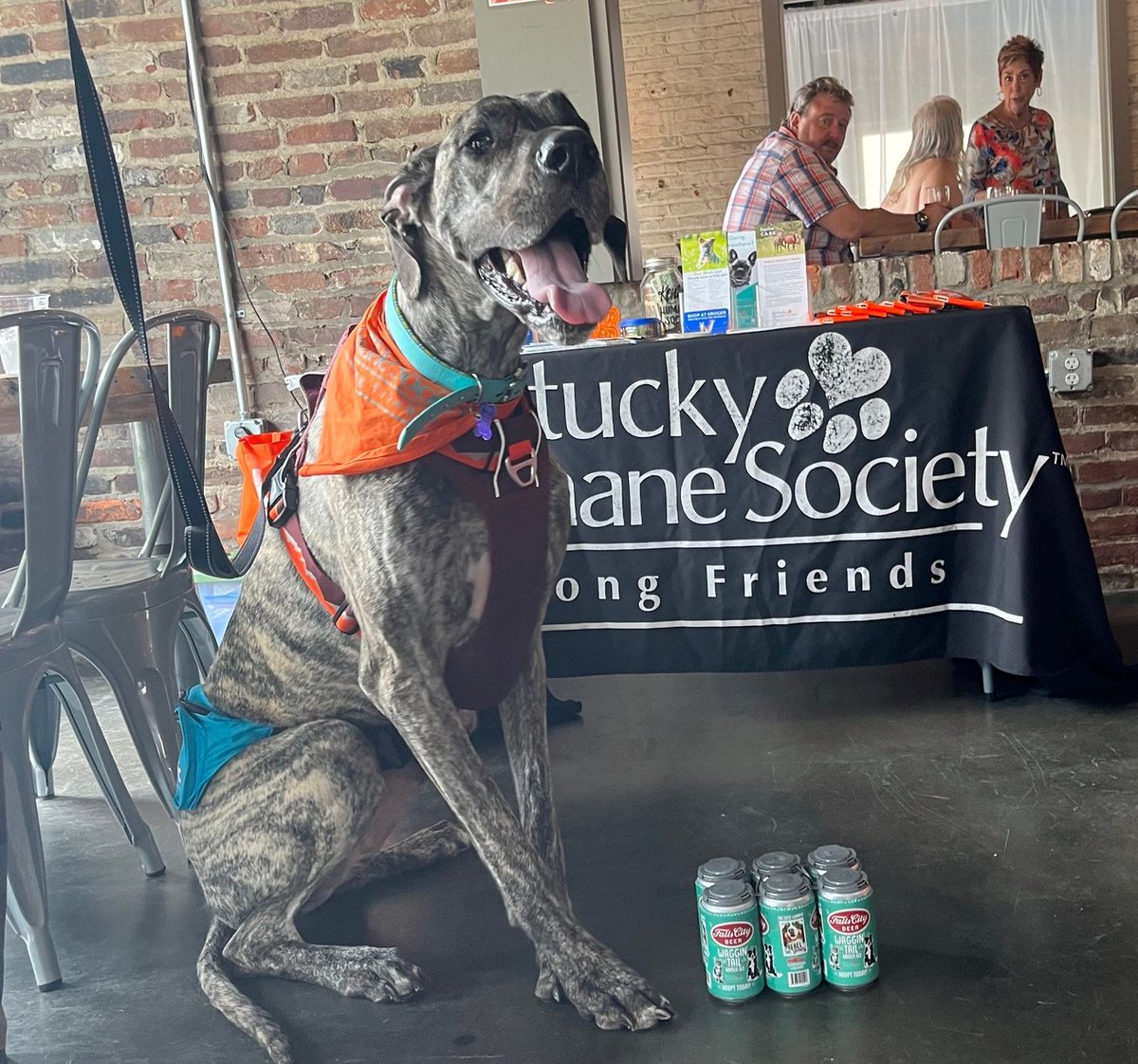 The <a href="/FallsCityBeer/">Falls City Beer</a>, Waggin' Tail Ale. is now available! You can get yours at Evergreen Liquors/Cox's for $11.99, &amp; proceeds from the beer go to the Kentucky Humane Society. Of course, the star of the Waggin’ Tail Ale is our contest winner, Rebel! Congratulations again, Rebel!