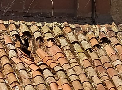 El abandono hace mella en el palacete del Paseo de la Estación (tejas rotas, próximas a caerse y hundimiento de cubierta).
La inacción de <a href="/aytoSalamanca/">Ayuntamiento Salamanca</a> al no exigir que se realice el proyecto de restauración de cubierta presentado por la propiedad en 2014... ¡clama al cielo!