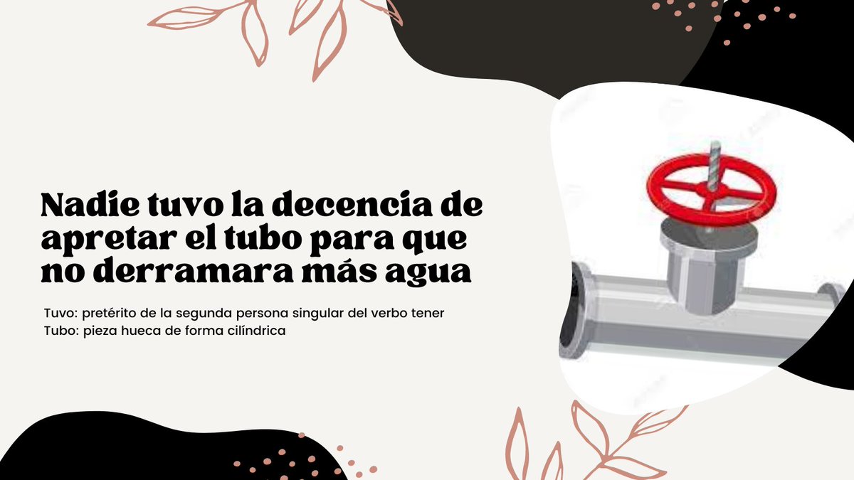 Tuvo no es lo mismo que tubo. Palabras homófonas #EscribirMejor