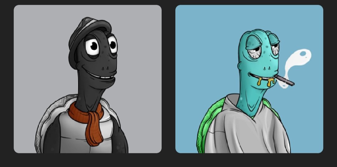 BongHit | WAGG 🌱 tweet media