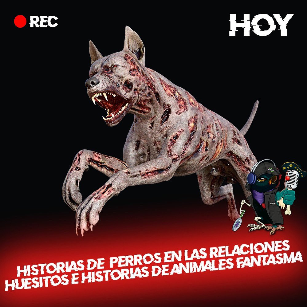 El Cartel de la Mega tweet media