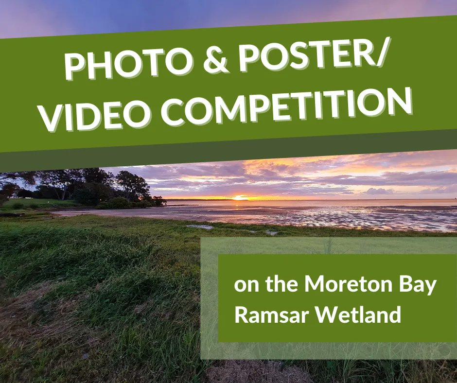 There are only 2 days left to enter the Moreton Bay Ramsar Wetland photo and poster/video competition. Submit your entries now for your chance to win! Photo competition: buff.ly/3yKaJFb Poster/video competition: buff.ly/3OqKWIJ Entries close 24 July 2022.