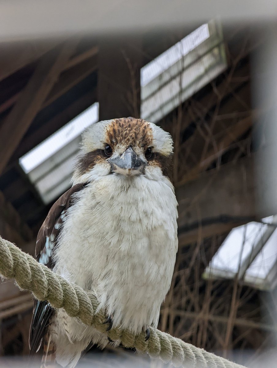 TableDRG's tweet image. I sometimes forget how good the camera in my pocket is #pixel6pro @madebygoogle