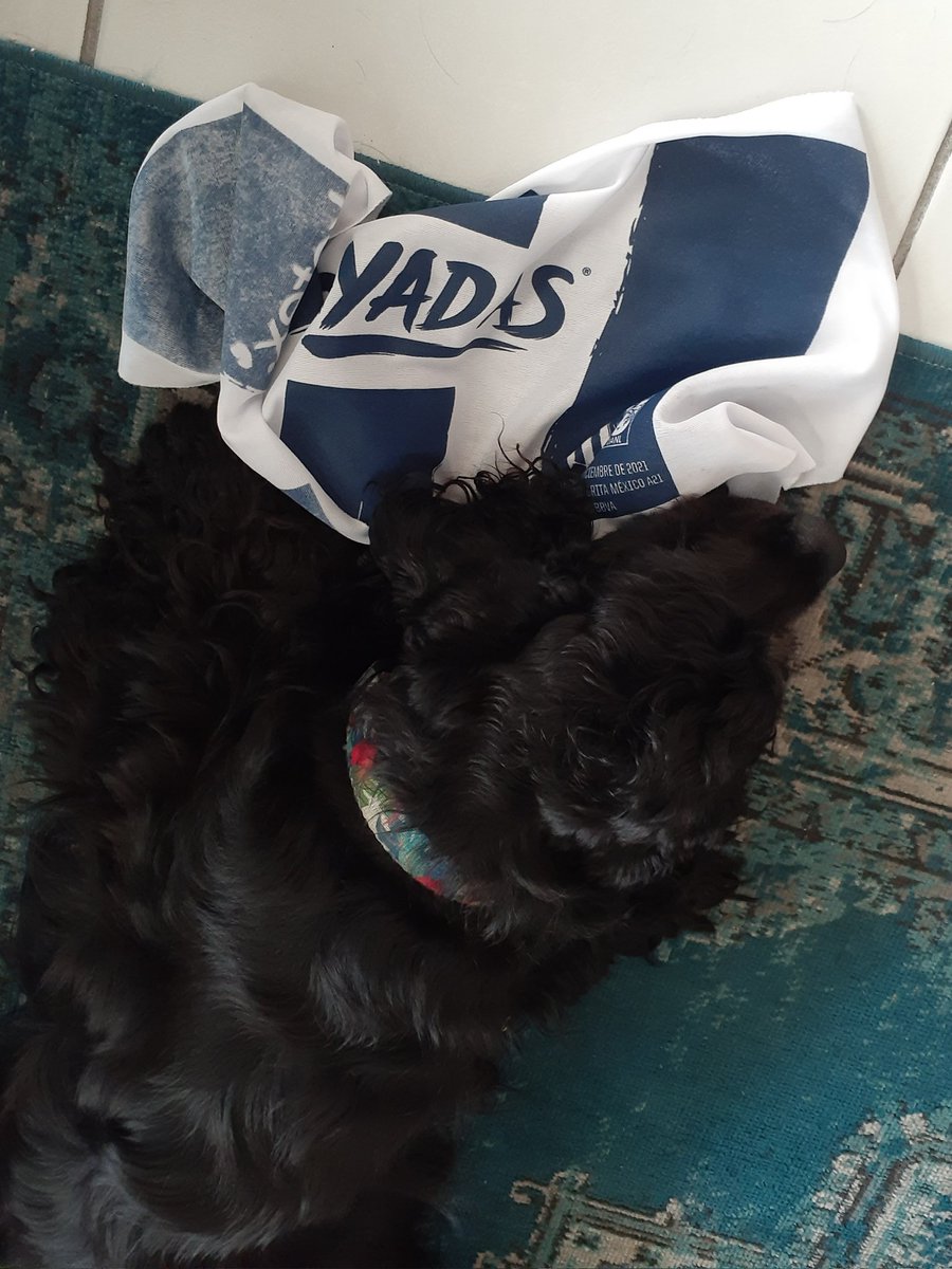 Ramiro_Bones's tweet photo. @Rayados @CJasib @Rpizarrot Sally Rayada https://t.co/XIgvYtdP5h