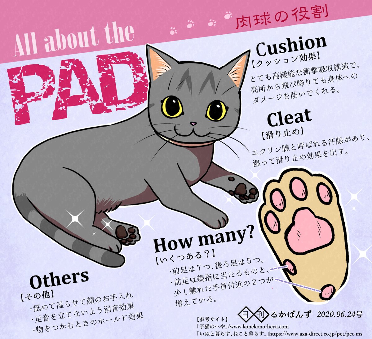 猫の肉球のヒミツ(再掲)

#猫 #コルクラボマンガ専科 
