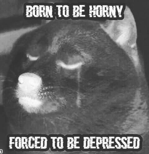 mercuryboy6's tweet photo. @lilowch Our lives https://t.co/zLltxeYAV4