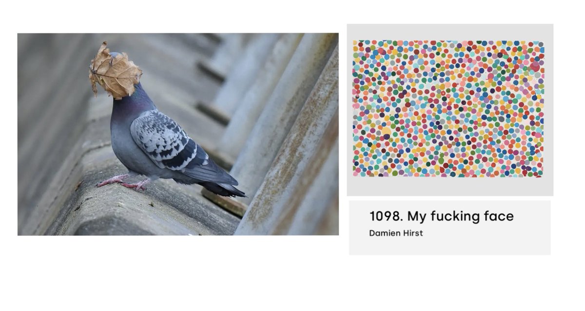 LaFeeLaFee's tweet photo. A face mask suitable for a pigeon 

#CurrencyBurn @HENI https://t.co/SVFf8ddefP