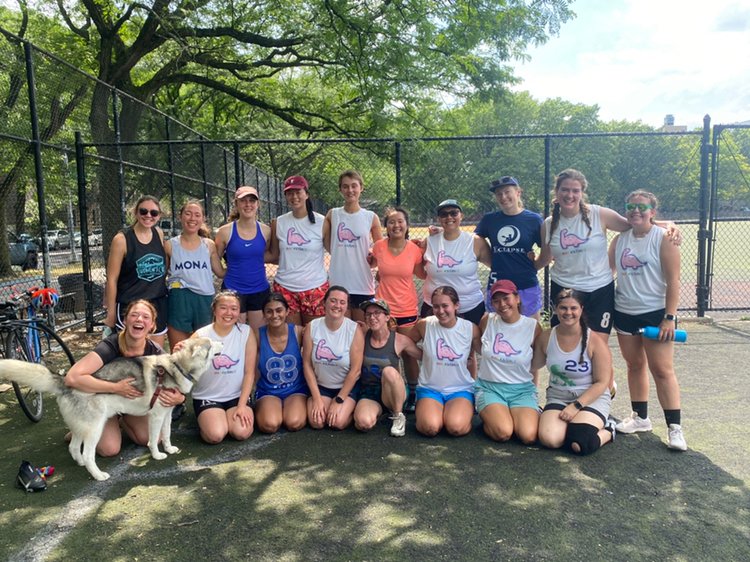 Dino Ultimate tweet media