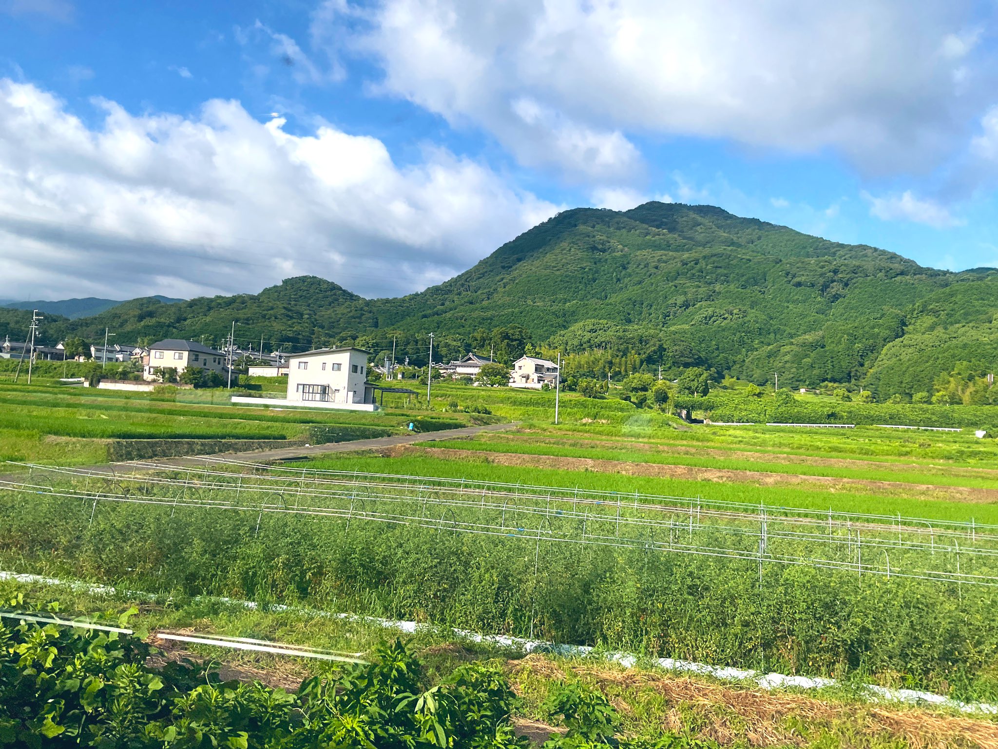 ライダー神風 on Twitter