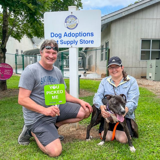 petcolove's tweet photo. Congrats to all the families that became pet families during @NoKillSC's #PickMeSC adoption events! During this collective effort, more than 2,300 cats + dogs found loving homes across the state! Now can we get a ๐ for all the animal welfare partners who made it all possible?! https://t.co/q1aXQD29QX