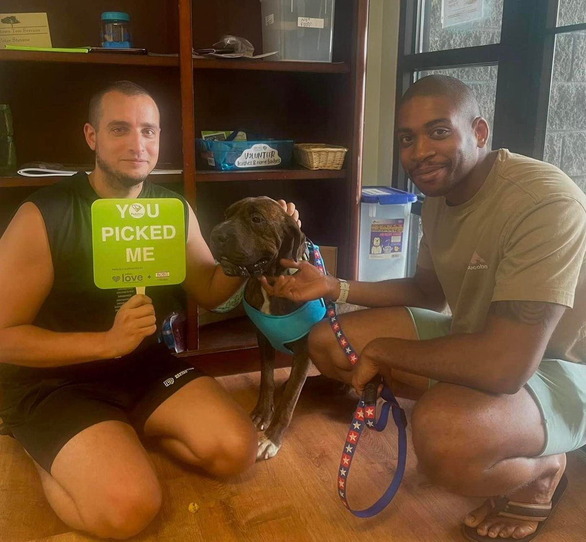 petcolove's tweet photo. Congrats to all the families that became pet families during @NoKillSC's #PickMeSC adoption events! During this collective effort, more than 2,300 cats + dogs found loving homes across the state! Now can we get a ๐ for all the animal welfare partners who made it all possible?! https://t.co/q1aXQD29QX