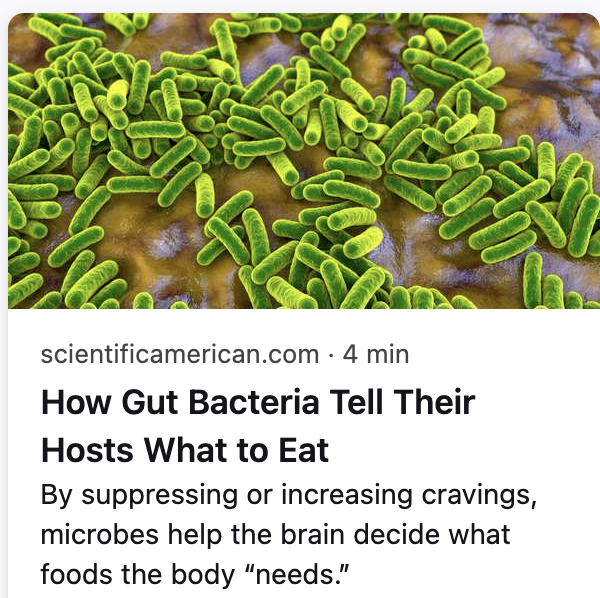 TomDNaughton's tweet photo. Apparently my gut bacteria are very fond of Five Guys bacon cheeseburgers. https://t.co/D7w68nHGOU