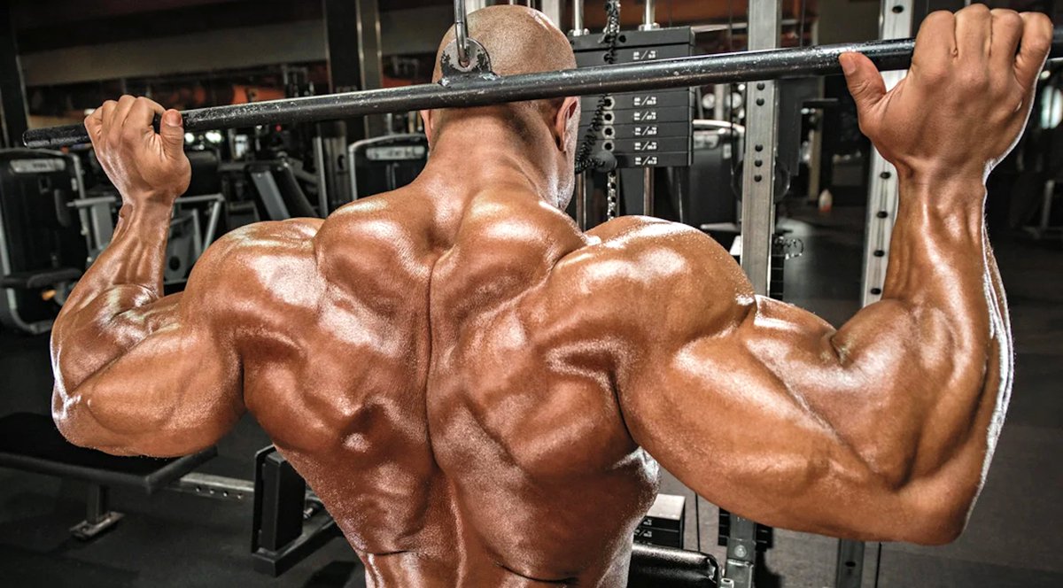 FITNESSANDBODY3's tweet photo. Lifting heavy weights requires a strong back. Back strength is vital for stability, posture, and generating force. If your back is weak, you won’t be able to lift as much weight.
Read more at: https://t.co/WQXhH193I4
#buildmass #buildstrong #buildmuscle #genetics #fitness https://t.co/fIm55W30HG