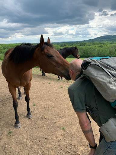 jonniewalks's tweet photo. 22/07 UPDATE: The following was written last week but the op is now done and recovery is in progress! Happy Summer Solstice to one and all! The longest day and a time when nature is at its most abundant: the trees are all lush;....

https://t.co/enFxmCV14Q https://t.co/bWQxGcCfxF