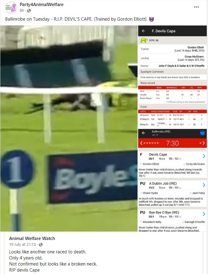 #Ballinrobe co. #Mayo on Tuesday - R.I.P. DEVIL'S CAPE. (Trained by #GordonElliott ). 👿
#BanBloodSports
#BanHorseRacing
#AnimalWelfare 
#AnimalWelfareWatch
#YouBetTheyDie
#RIPDevilsCape
#DeFundBloodSports Ireland & Beyond Now!