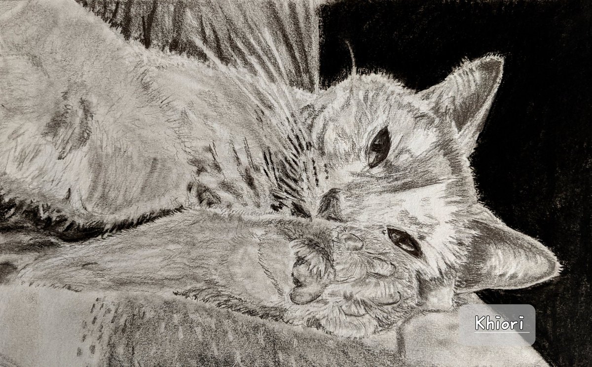 KhioriCreative's tweet photo. @PhilRead15 I'm glad you enjoyed your birthday! This was a perfect post to come across,  because I have art of all of my pets. 😁 https://t.co/oIAwxNZgJt