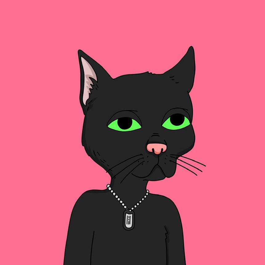 GutterGram's tweet image. There is something about these green eyes that “had me at hello.” @GutterCatGang