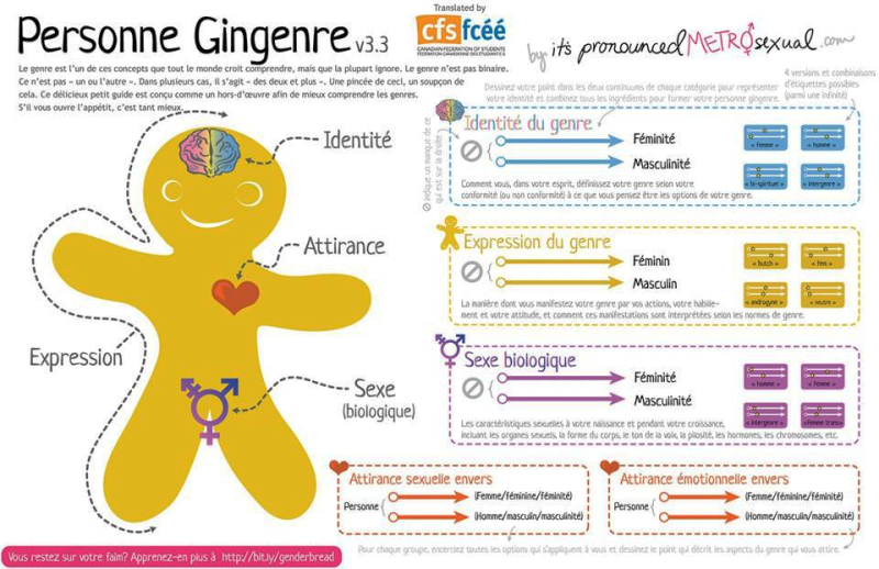 EtreTrans's tweet photo. ➡️Connaissez-vous❓
➡️La personne #gingenre ou la #licorne du #genre
2 outils dit ludiques qui abordent l'#identité de genre, l'#expression de genre &amp; l'#orientation sexuelle sous leurs diverses formes de mm que le sexe dit assigné à la naissance. 
➡️Version 🇫🇷 #GenderbreadPerson https://t.co/JhWlLiUsbP