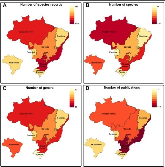 labsbf's tweet photo. @mzusp This paper is an updated overview of the ant diversity in Brazil, based on about 5000 publications in all Brazilian biomes 2/n
Link here 🐜🥳🌎: https://t.co/HlTcDWvqlO https://t.co/NsDcz0WqWj