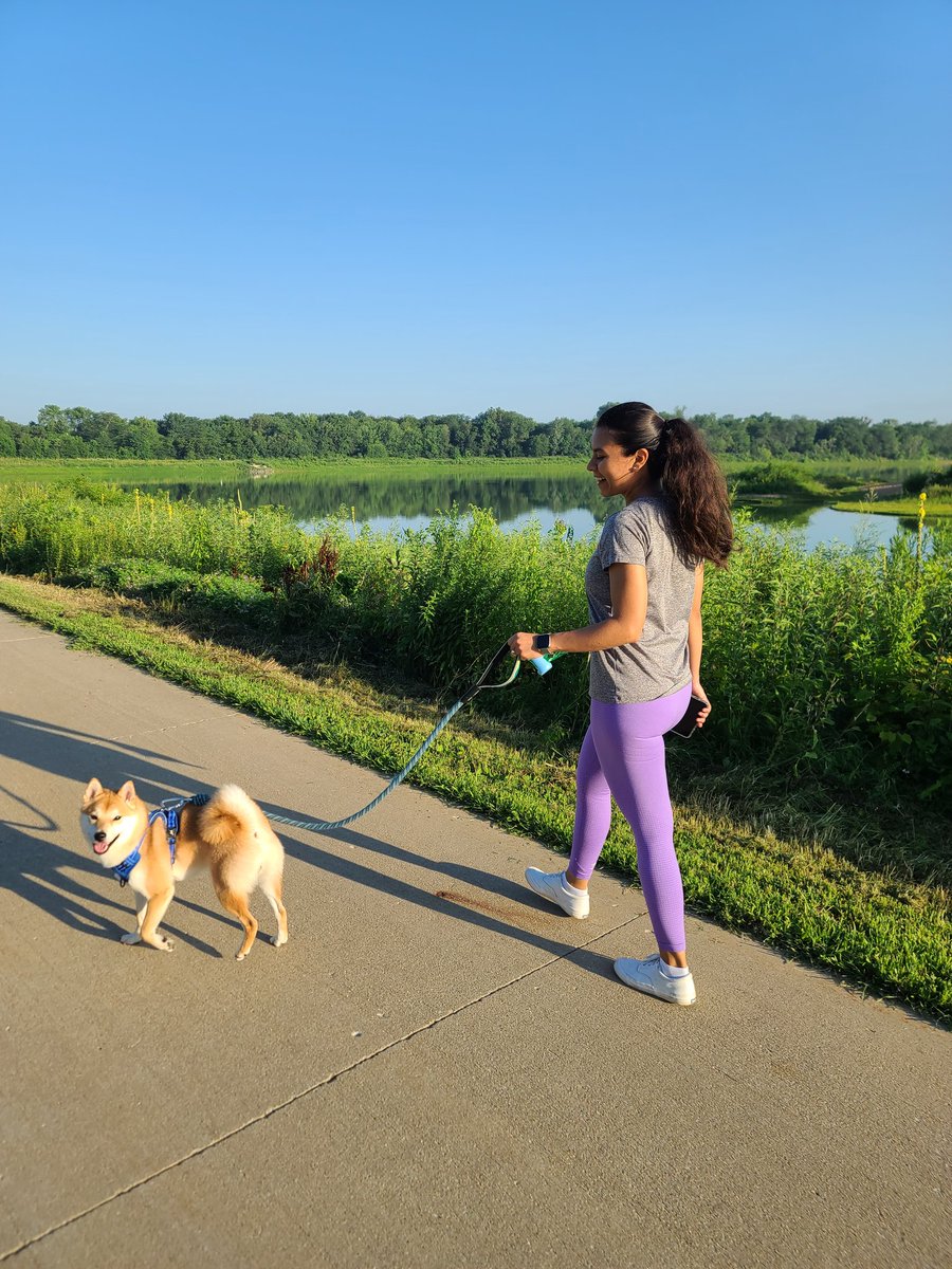 MarioCastaned18's tweet photo. Happy Dog day! #shiba https://t.co/tOPxFRgvZU