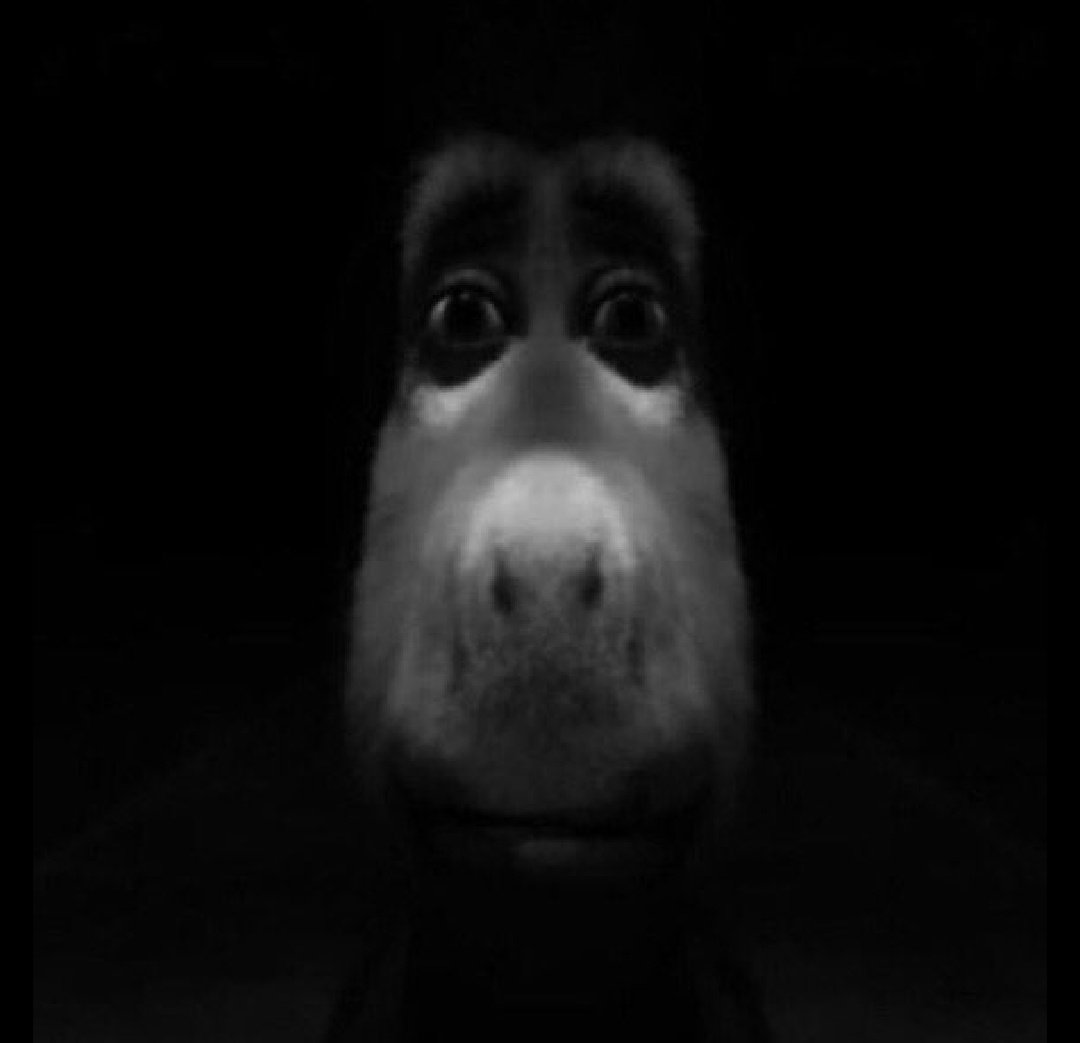 studyaffair's tweet image. minha meta é começar essa maratona de estudos