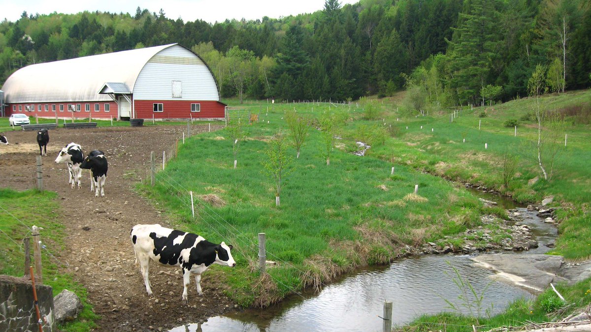Field tours show us how #farm and #forestry practices work in the real world. But what if you want to take a closer look at a practice not local to you? Meet the folks using #climate adaptation across the Northeast right here:  <a href="/Udelaware/">Univ. of Delaware</a> #asifyouwerethere
climatehubs.usda.gov/hubs/northeast…