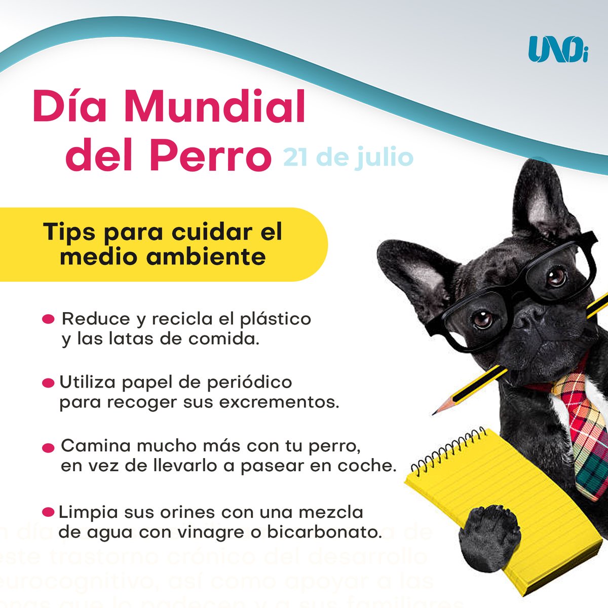 #DiaMundialDelPerro  Te compartimos algunos #Tips para cuidar nuestro medio ambiente. #Perros #UNOiMéxico <a href="/UNOint/">UNOi</a>