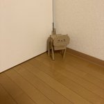 猫を飼いたくて作りました。部屋の隅で佇む段ボールネコw