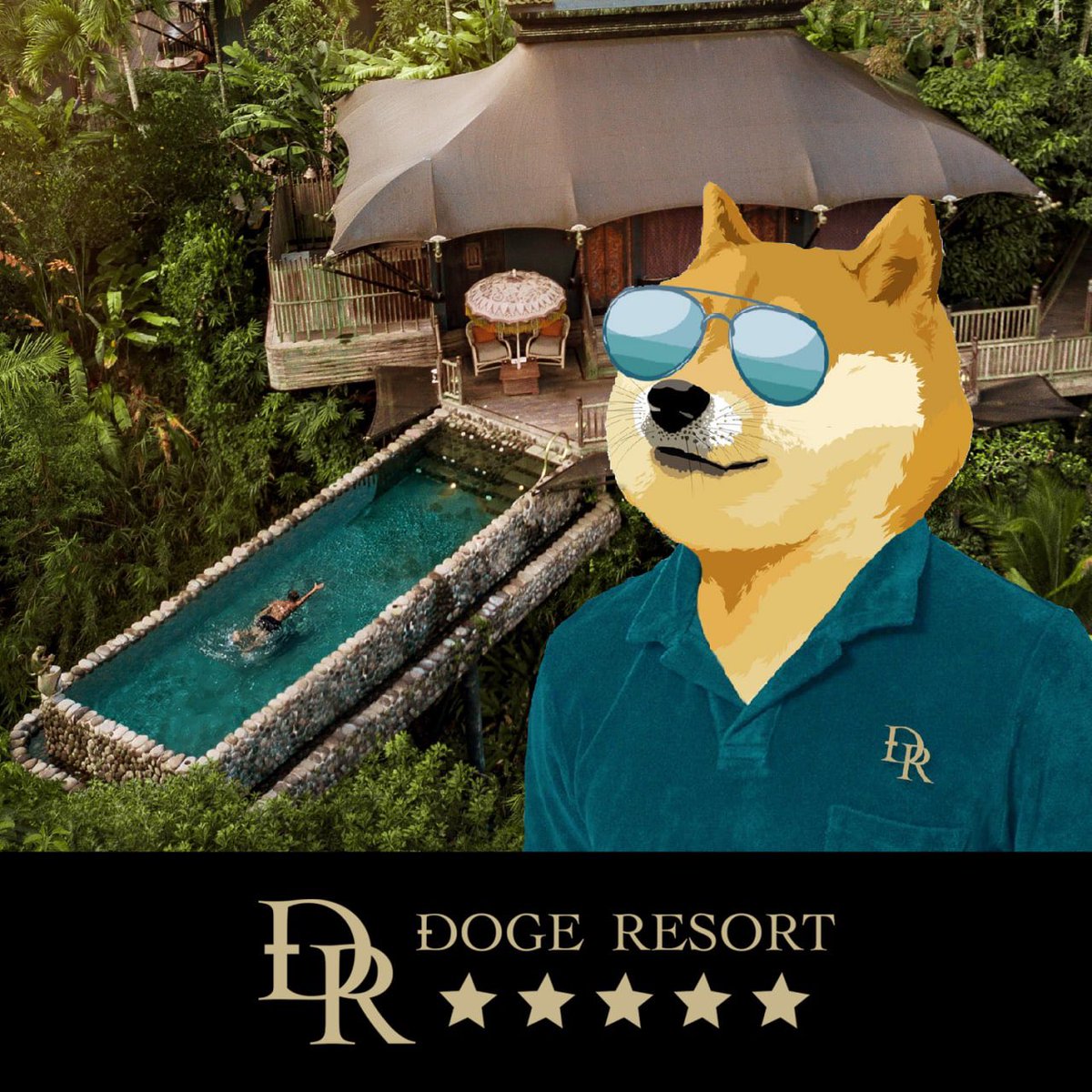 DogeResort's tweet photo. We are your goals. #Doge #DogeResort https://t.co/9muBstUhht