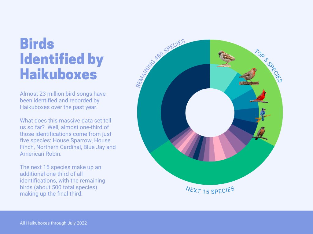 Haikuboxes across the US have identified and recorded nearly 23 million bird songs over the past year. This huge data set will yield interesting results including the most frequently identified species.