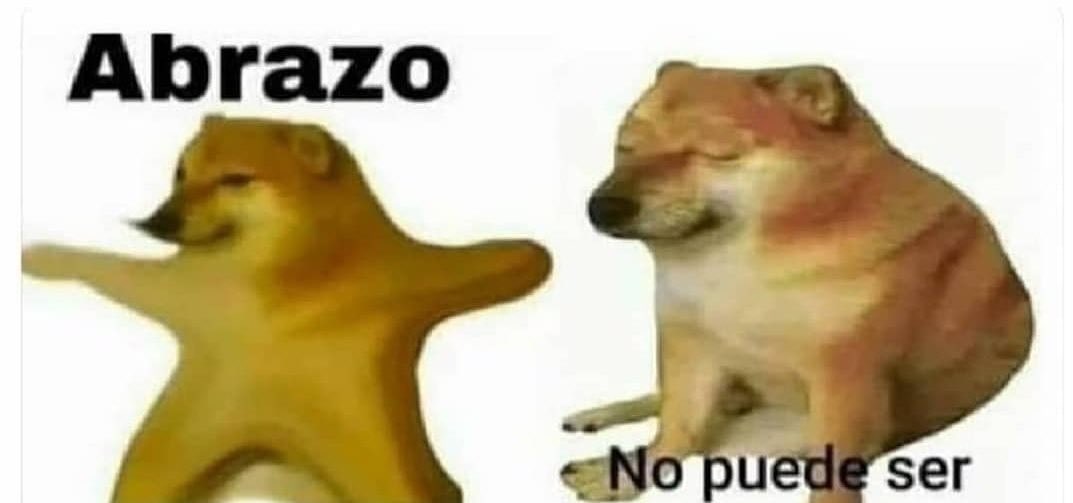 Yo cada 5 segundos con mi perro | Mi perro