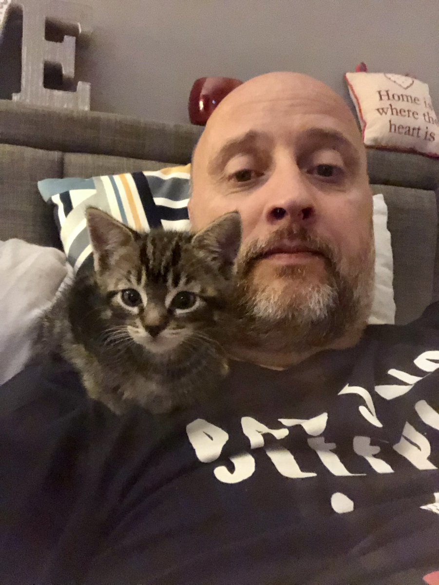 PeterHastie3's tweet photo. @Jo_AnneMurray and I went to visit our niece today and came back with this tiny one. 🙈 #TooManyPets https://t.co/UnQGO7xbjm