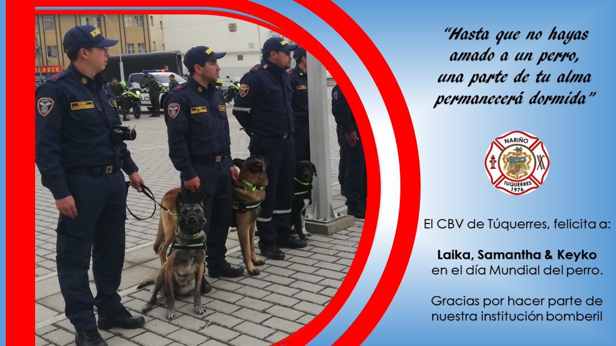 Día mundial 🐕🐕🐕