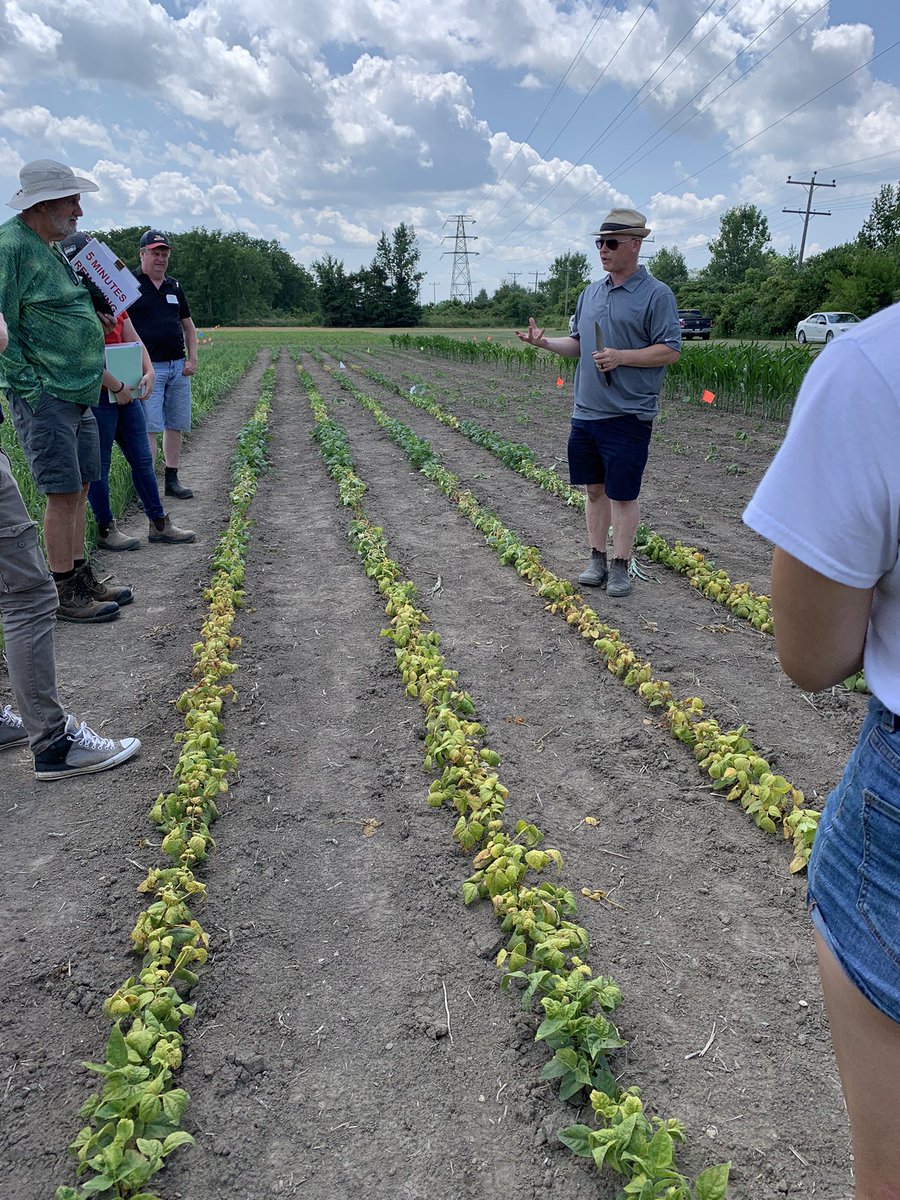 johannaburrows's tweet photo. Top Learnings from #OCDD
- basagran on curled dock is liquid 🔥
- we should worry less about strip till fertilizer burn on heavy clay
- don’t cheap out on wheat seeding rates
- intensive tar spot/wbc scouting kicks off next week in haldimand
#ontag https://t.co/fIZapPzU1s