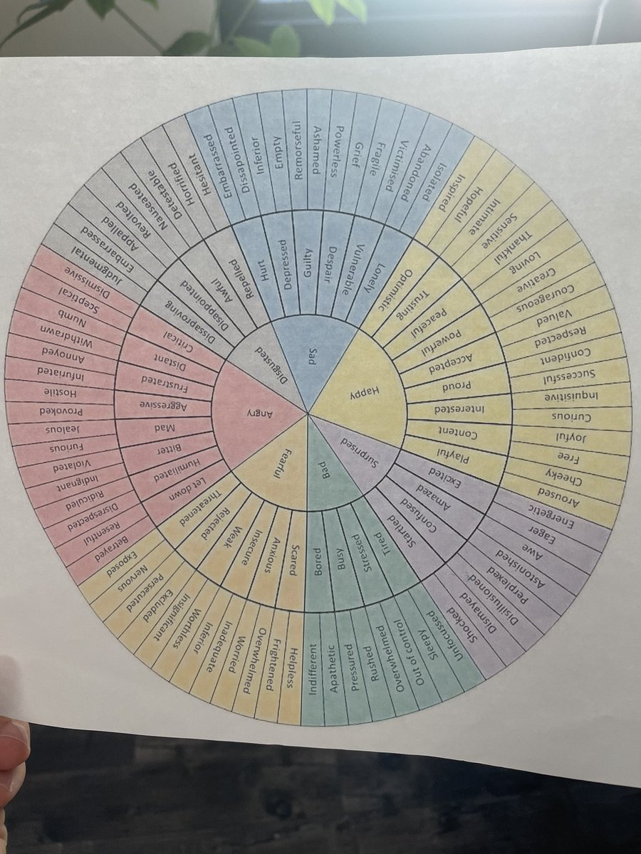 My 4yo just asked me if I wanted her “ferris wheel of sadness” and handed me a copy of the feelings wheel my (psychologist) wife had printed for her