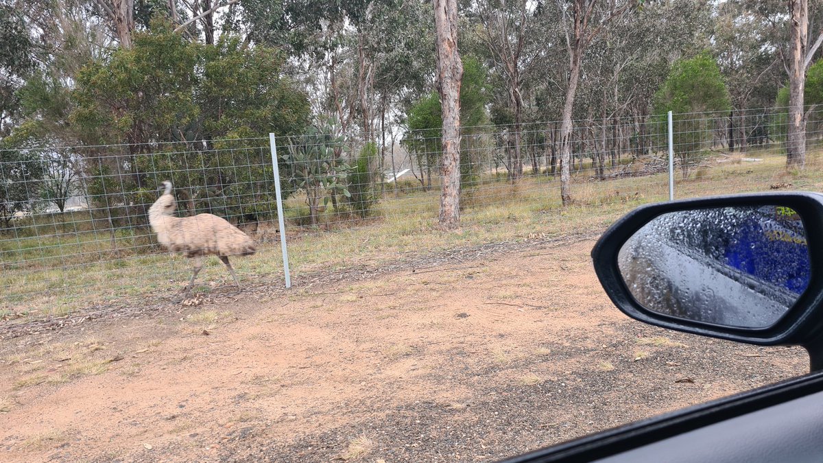 Alex Briggs tweet media